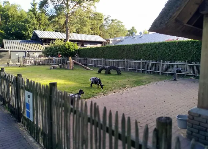 De Stamper - De Wije Werelt * Otterlo