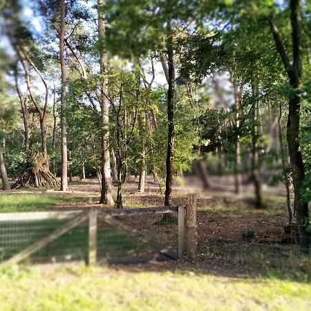 De Stamper - De Wije Werelt *