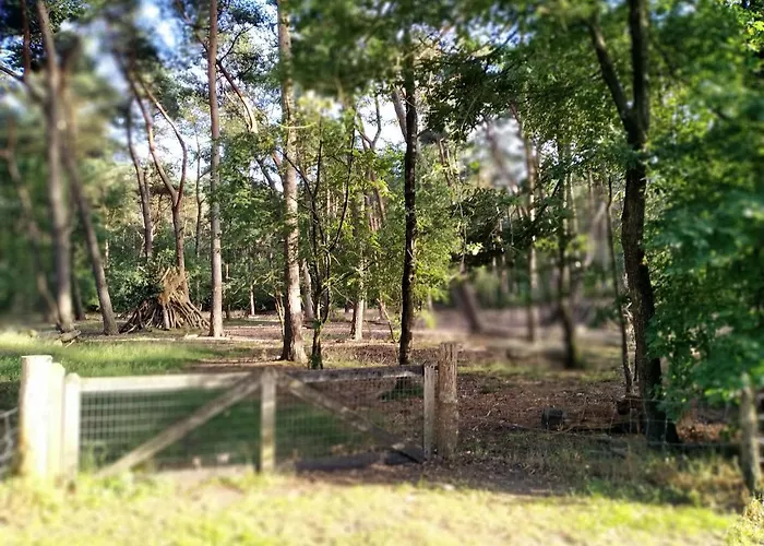 De Stamper - De Wije Werelt *